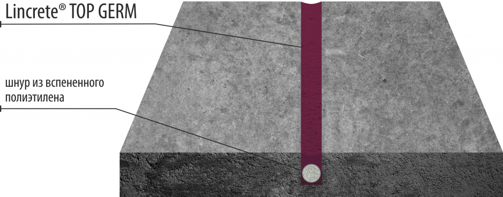 пирог LINCRETE®Top Germ.png пирог LINCRETE®Top Germ.png